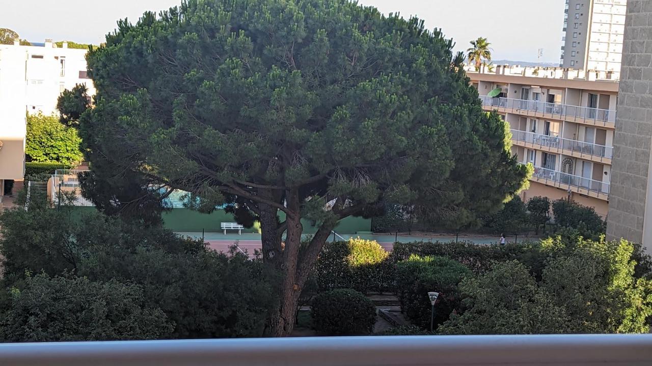 Studio Climatise Avec Coin Nuit 150M De La Plage Le Lavandou Exterior foto